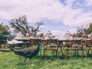 STYLE YOUR WEDDING OR SPECIAL EVENT WITH UNIQUE FURNITURE AND PROP HIRE PIECES FROM IVY COAST